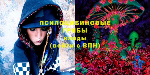 эйфоретик Белокуриха